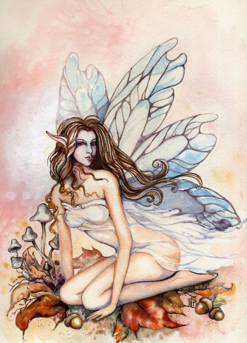 Fairy 35